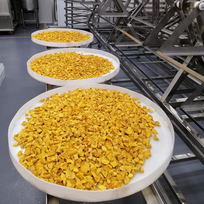 مایکروویو وکیوم خشک کن داروها مایکروویو 3 کیلو وات استیل ضد زنگ دسته ای مایکروفر صنعتی