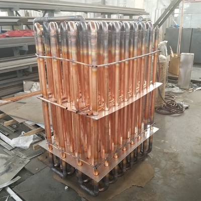 دستگاه خشک کن قارچ Hericium Fungus Vacuum Freeze Dryer Durian Mango Mango