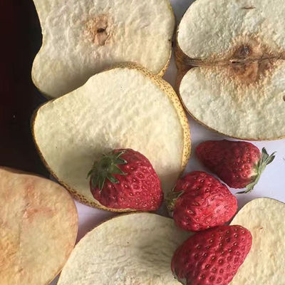 OEM ODM وکیوم خشک کردن انجماد تجهیزات غذای حیوانات خانگی خشک کن سبزیجات و میوه ها