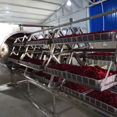 38.4-48kg/H مایکروویو خلاء خشک کن 304 اجاق میوه خشک کن از جنس استنلس استیل